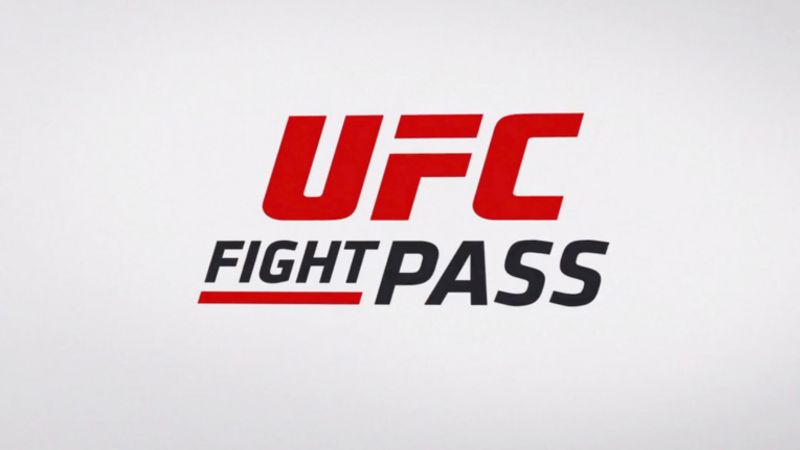 UFC FIGHT
